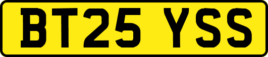 BT25YSS