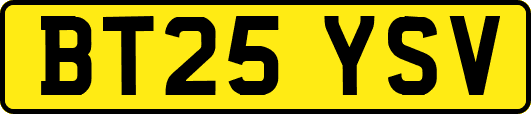 BT25YSV