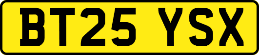 BT25YSX