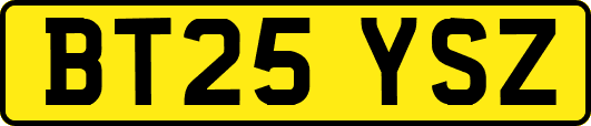 BT25YSZ
