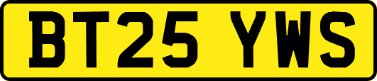 BT25YWS