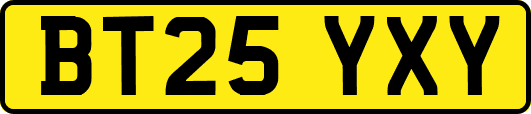 BT25YXY