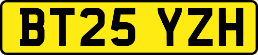 BT25YZH