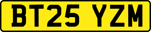 BT25YZM