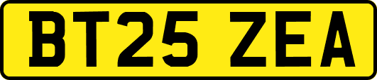 BT25ZEA