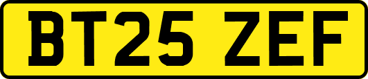 BT25ZEF