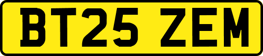 BT25ZEM