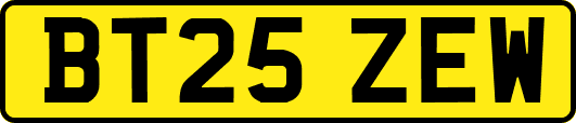 BT25ZEW