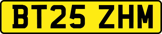 BT25ZHM
