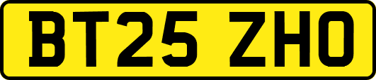 BT25ZHO