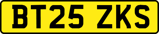 BT25ZKS