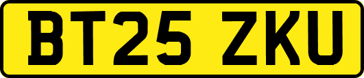 BT25ZKU