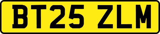 BT25ZLM