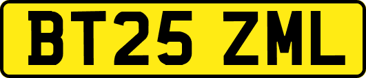 BT25ZML