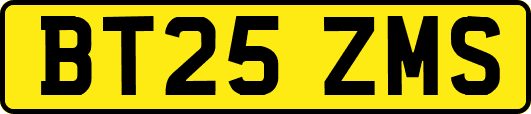 BT25ZMS