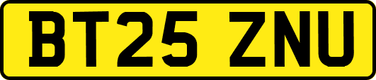 BT25ZNU