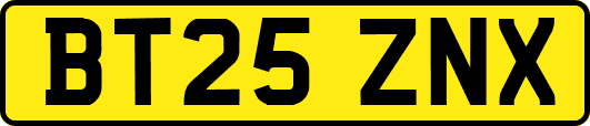BT25ZNX