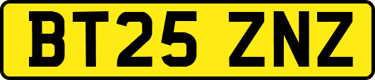 BT25ZNZ