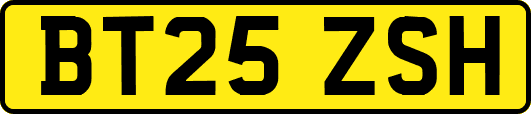 BT25ZSH