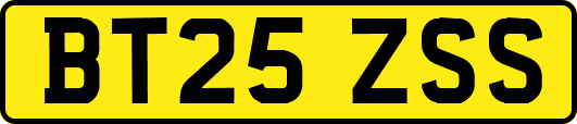 BT25ZSS
