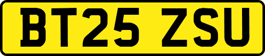 BT25ZSU
