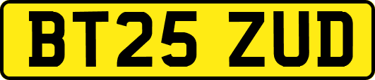BT25ZUD