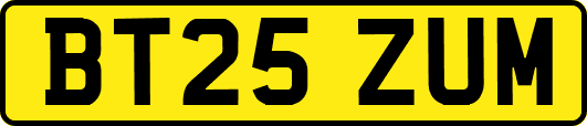 BT25ZUM