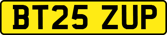 BT25ZUP