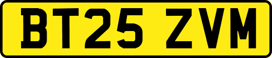 BT25ZVM