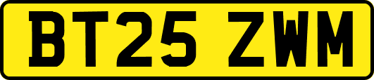 BT25ZWM