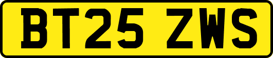 BT25ZWS