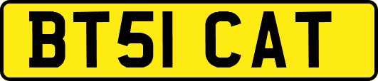 BT51CAT