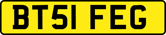 BT51FEG