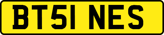 BT51NES