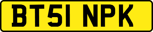 BT51NPK