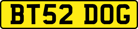 BT52DOG