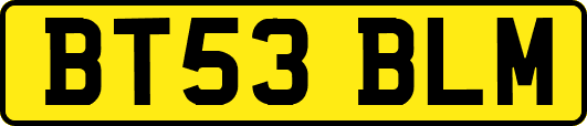 BT53BLM