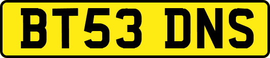 BT53DNS