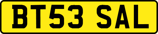 BT53SAL