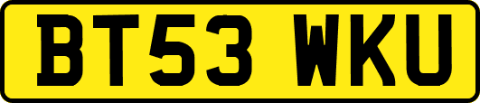BT53WKU