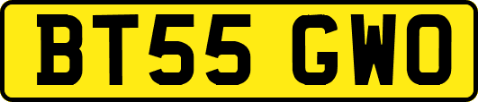 BT55GWO