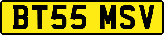 BT55MSV