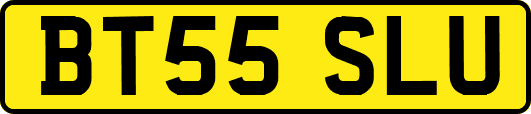 BT55SLU