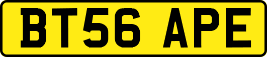 BT56APE