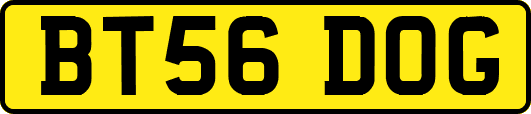 BT56DOG