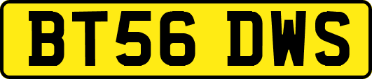 BT56DWS