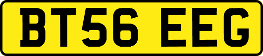 BT56EEG