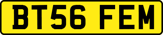 BT56FEM