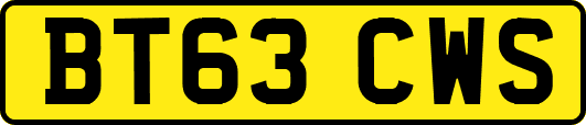 BT63CWS