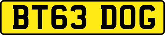BT63DOG